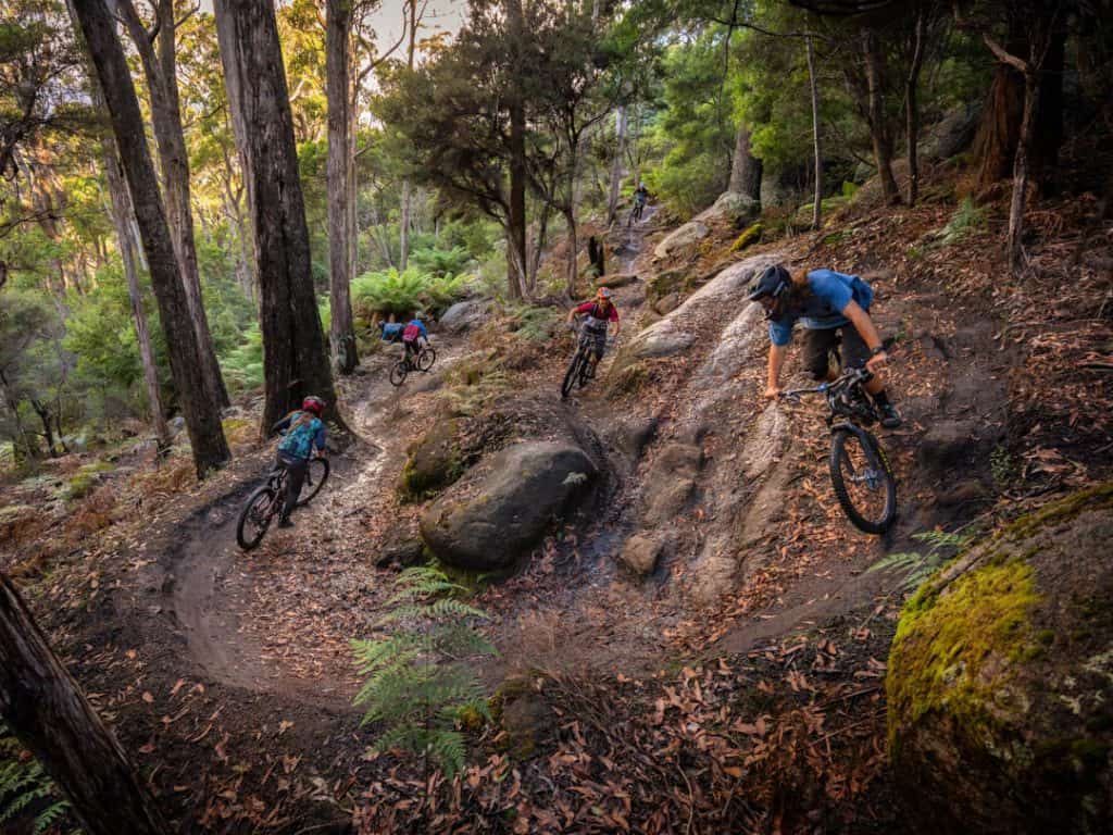 Vertigo MTB staff group ride on Roxanne