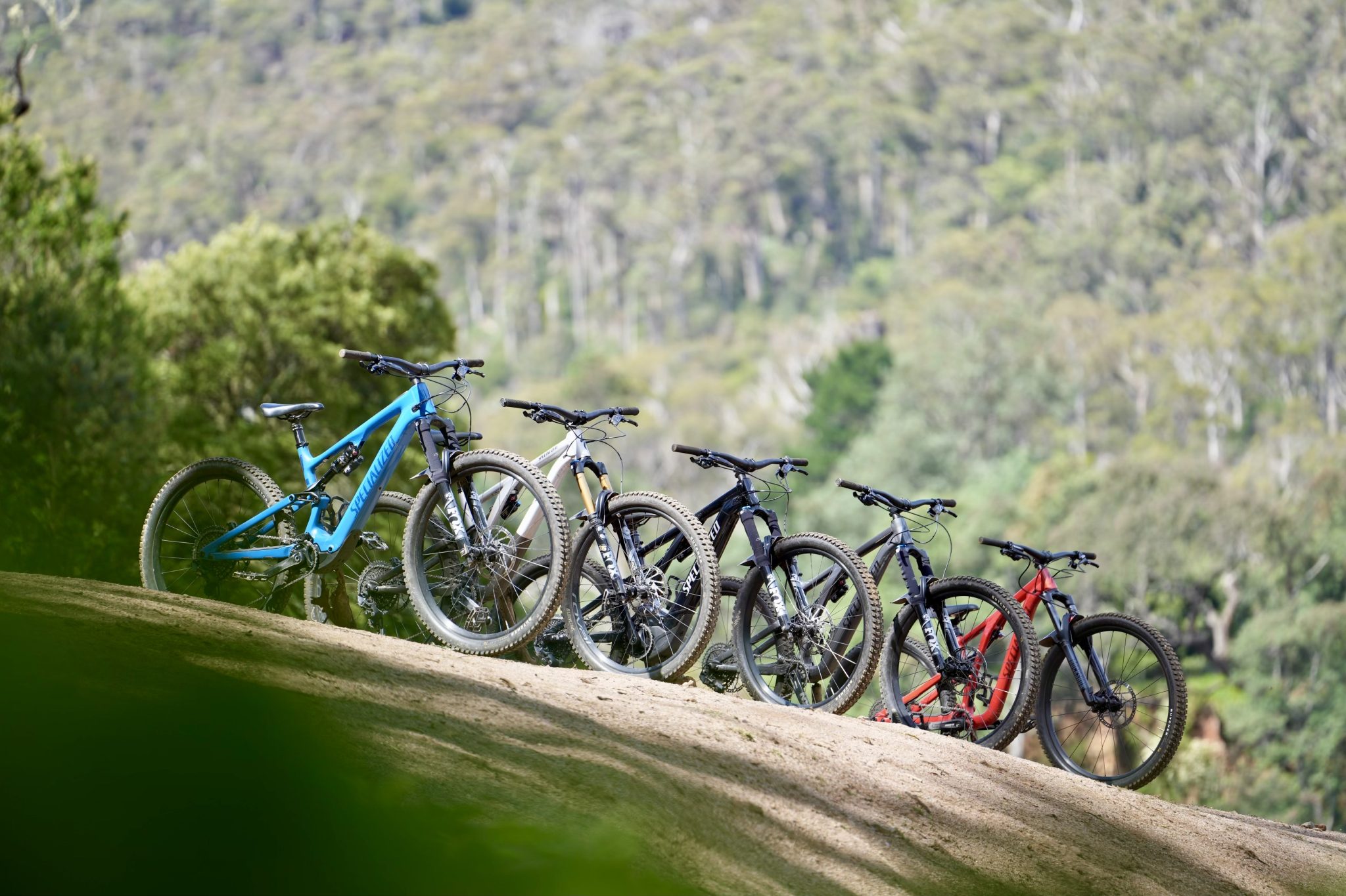 Bike hire fleet 23/24 Specialized bikes. Vertigo MTB